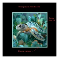 Illustration Tortue 2