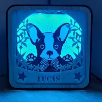 Veilleuse Bouledogue 5