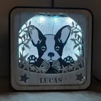 Veilleuse Bouledogue 6